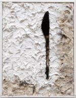 Erinner mich an die verschwundenen Fliegen (Relikt)